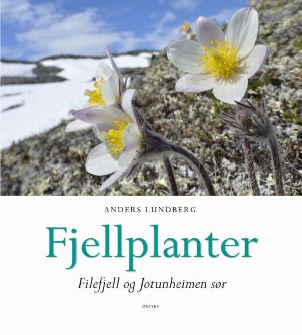 Fjellplanter