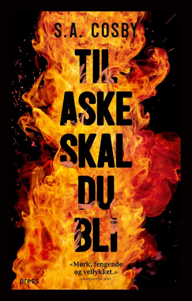 Til aske skal du bli (e-bok)