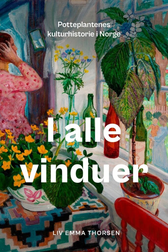 I alle vinduer (e-bok)